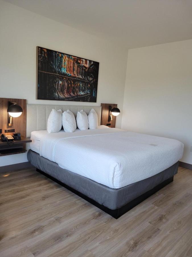 La Quinta Inn & Suites By Wyndham Terrell Eksteriør billede