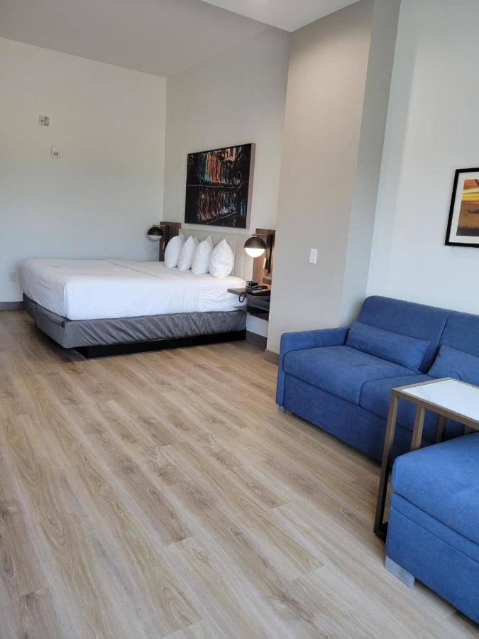 La Quinta Inn & Suites By Wyndham Terrell Eksteriør billede