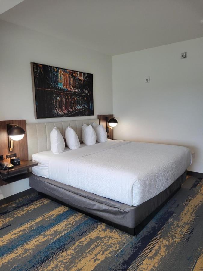 La Quinta Inn & Suites By Wyndham Terrell Eksteriør billede